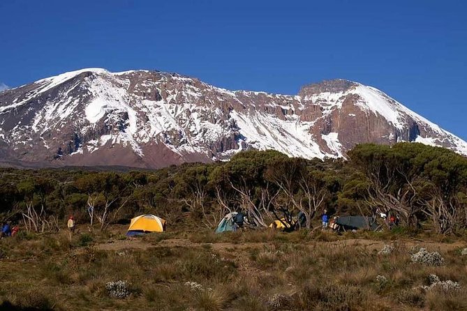 Mount Kilimanjaro Trekking - 6 Days Machame Route. - Staff and Services