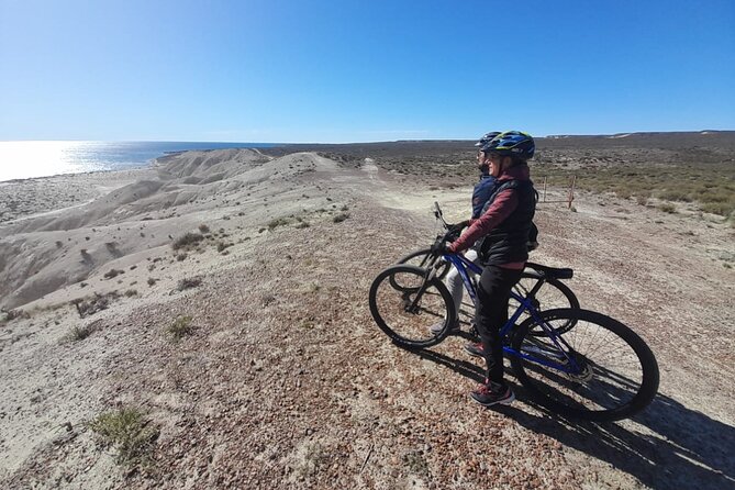 Mountain Biking and Sea Lion Watching in Puerto Madryn - Pickup Details