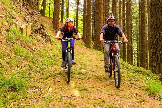 Mountain Biking in the Forest - Inclusions: Guide, Bike Rental, Lunch