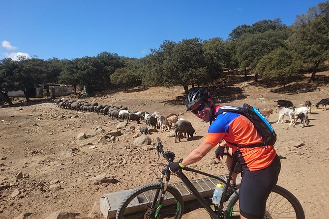 MTB (Self-Guided) Grazalema Natural Park - 45km Moderate - Pricing and Cancellation Policy