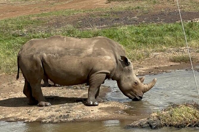 Nairobi National Park and Giraffe Center Private Guided Tour - Pickup and Accessibility Details