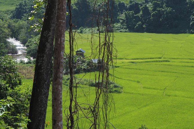 Nalan Trail Kmu Ethnic Experience - 2days Forest Trek With Homestay. - Homestay Accommodations