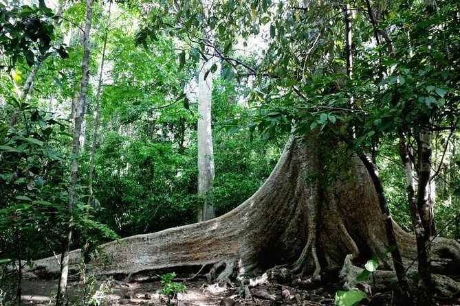 Nam Cat Tien National Park 2 Days 1 Night - Overview