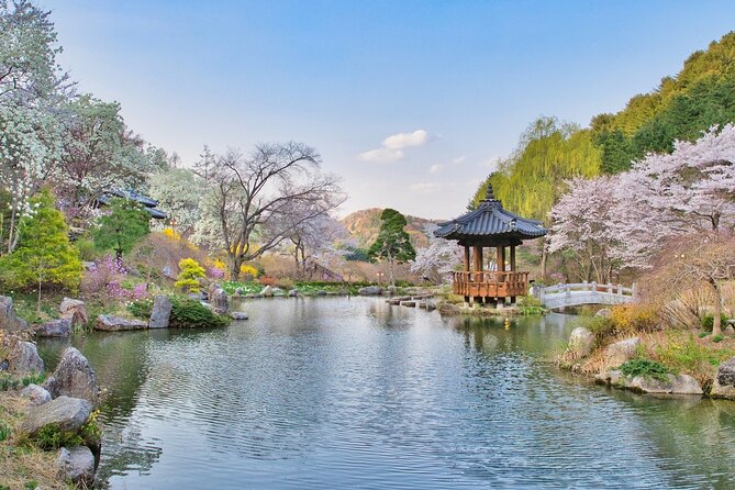 Nami Island/Alpaca/Rail Bike/Petite France/Morning Calm Tour - Booking and Pricing Details