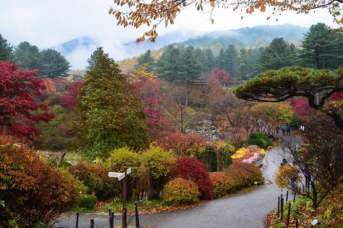 Nami Island From Seoul: Petit France and Garden of Morning Calm - What To Expect