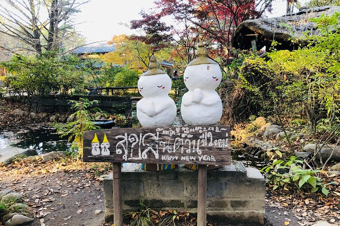 Nami Island+Alpaca+Gapyeong Rail Bike+Garden of Morning Calm - Details and Restrictions