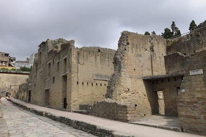 Naples Train Station/Area to Sorrento With 2 Stops (Herculaneum & Oplontis) - Additional Information