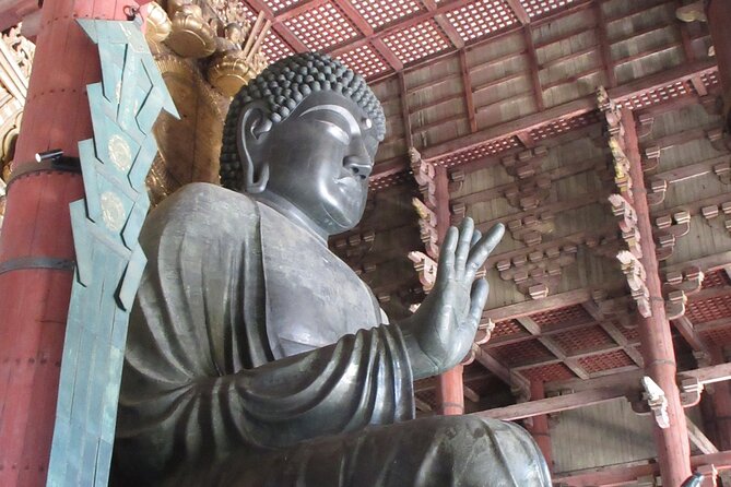 Nara ITALIAN GUIDE, Shared Tour Giant Buddha, Deer in the City - Meeting Point Details