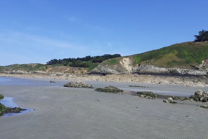 Nature Activity in the Bay of St Brieuc - Meeting Point: Baie De Saint-Brieuc