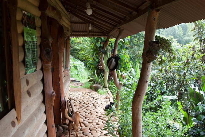 Nature Adventure (3 Days, All-Included) - Accommodation Details