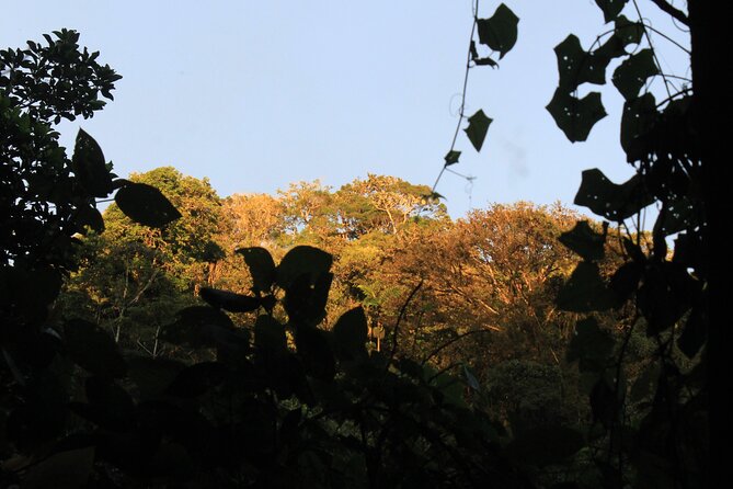Nature Observation and Appreciation Private Tour - Meeting Point Details
