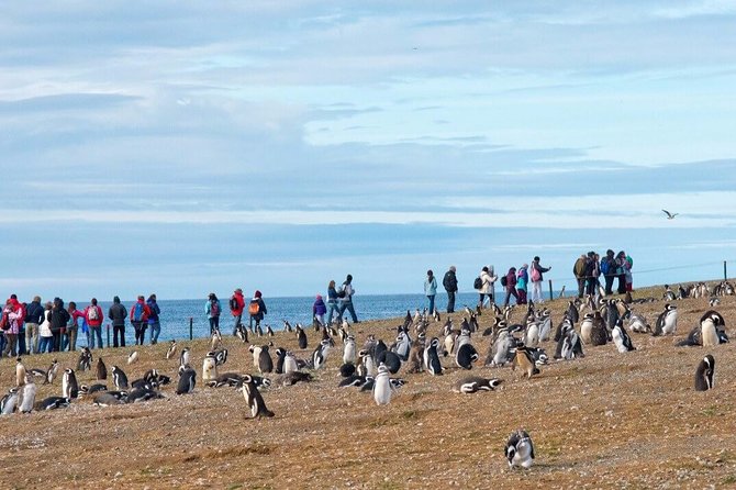 Navigation to South Fjords & Magdalena Island