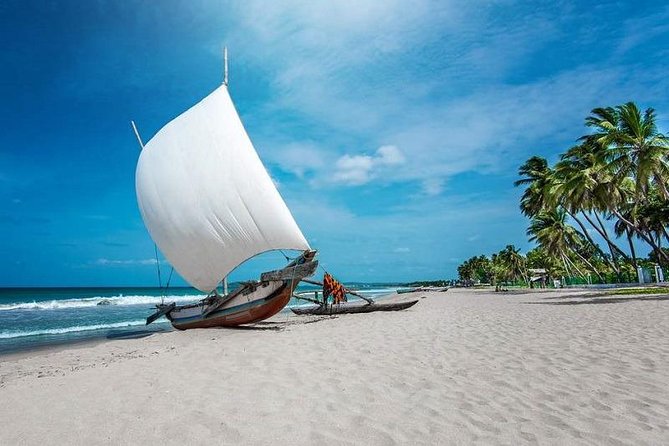 Negombo City And Fishing Village Private Day Tour From Colombo - Meeting and Pickup Information