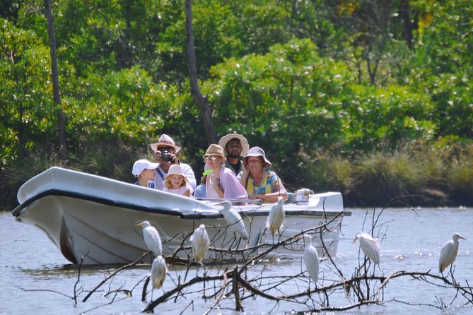 Negombo Transit Mangrove Boat Ride Tour From Airport - Meeting and Pickup