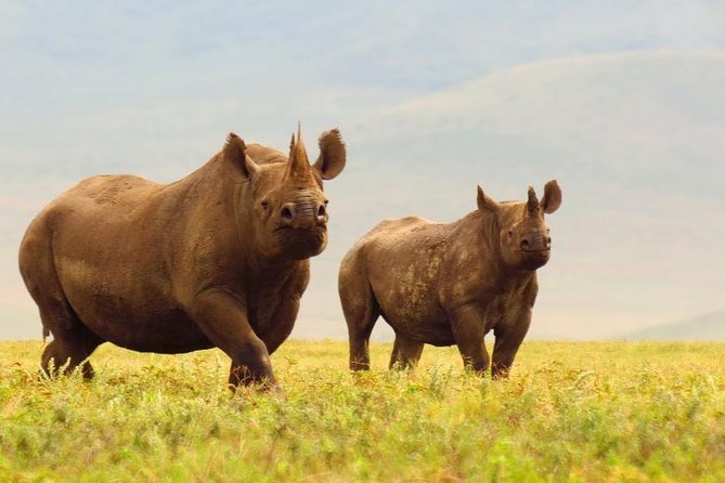 Ngorongoro Crater Day Trip From Arusha - Pickup Details