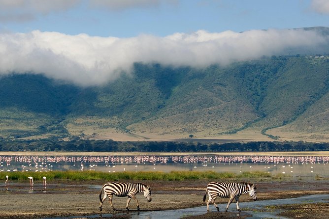 Ngorongoro Crater Day Trip Joining Safari From Arusha