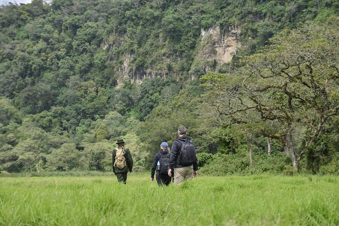 Ngurdoto Crater (Mount Meru) Full-day Tour - Meeting and Pickup
