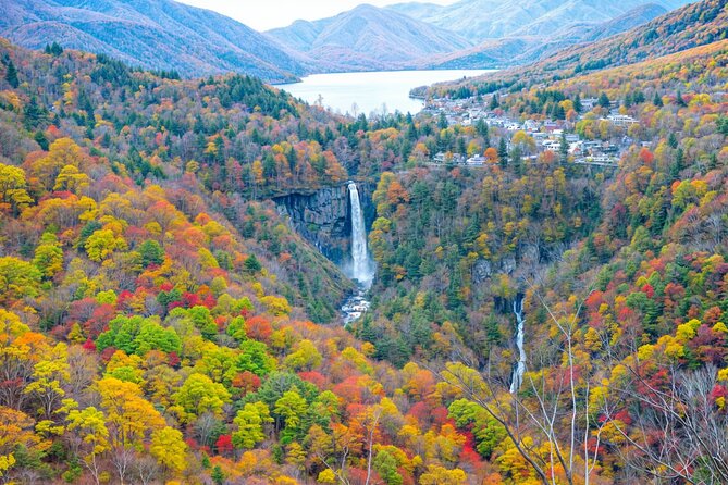 Nikko Private Group Tour
