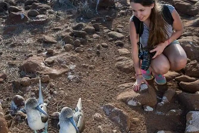 North Seymour Island Day Tour With Snorkeling - Snorkeling Experience