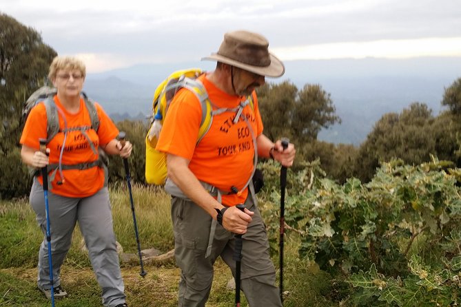 Northern Historic Circuit - 12 Days - Day 1: Addis Ababa Arrival