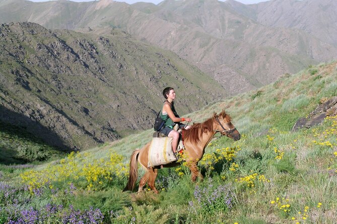 Nurata Mountain 3 Day Private Rural Tour From Samarkand or Bukhara - Meals Included