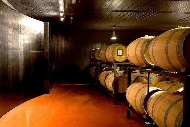 Olive Oil and Wine Museum With Food and Wine Tasting + Quad Tour - Activities Included