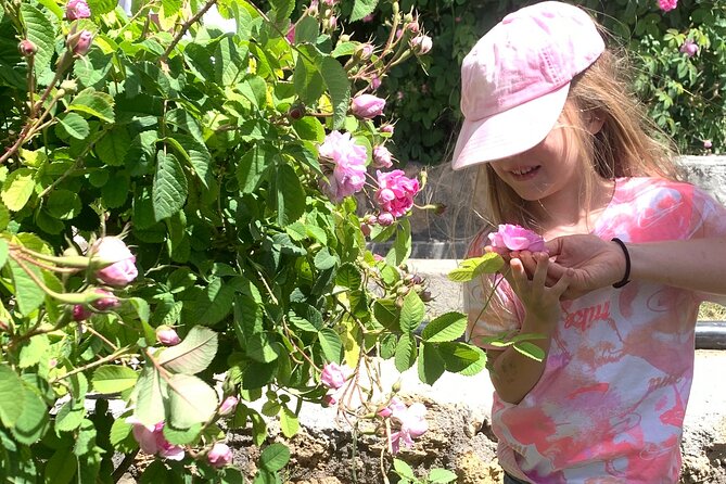 Oman Damasks Rose Experience - Tour Details