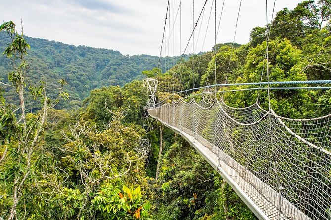 One Day Canopy Private Walk Adventure - Pickup Information