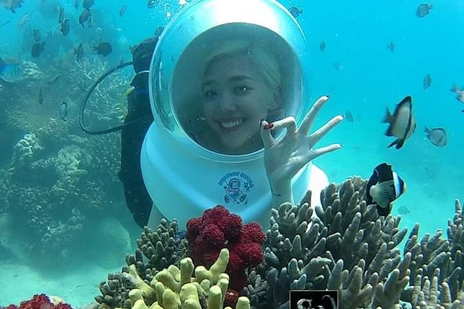 One Day Experiences In The Natural Life Nha Trang - What To Expect