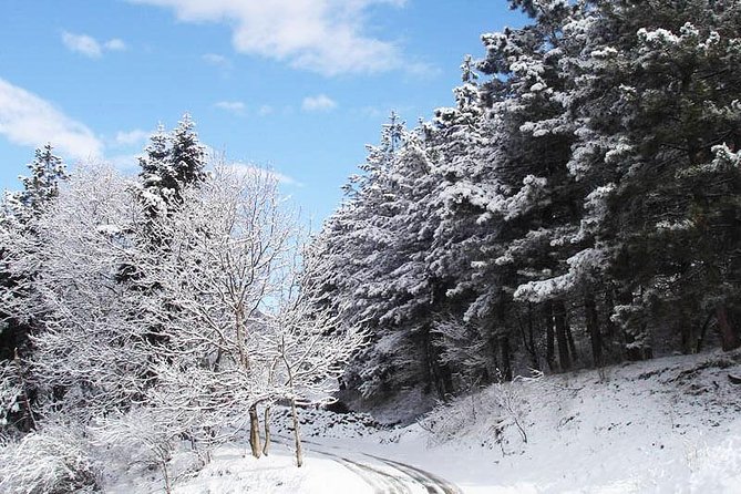 One-Day Tour to Sevan and Tsaghkadzor