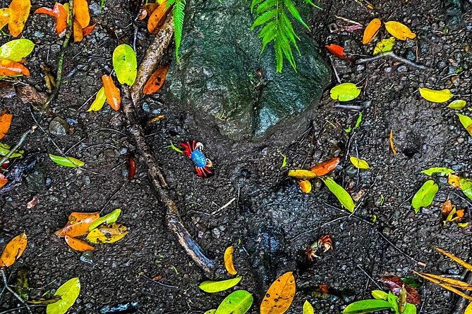 One Day Trip to Manuel Antonio National Park From San José - Transportation Details