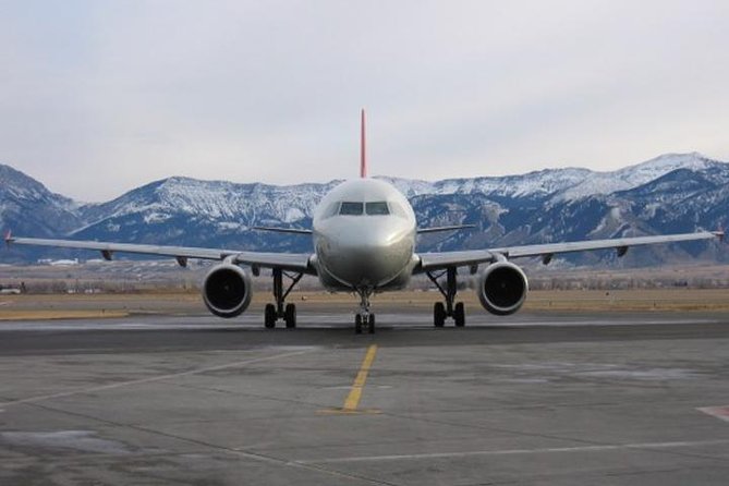 One-Way Private Delhi Airport Arrival & Transfer To Delhi Hotel - Expectations and Requirements