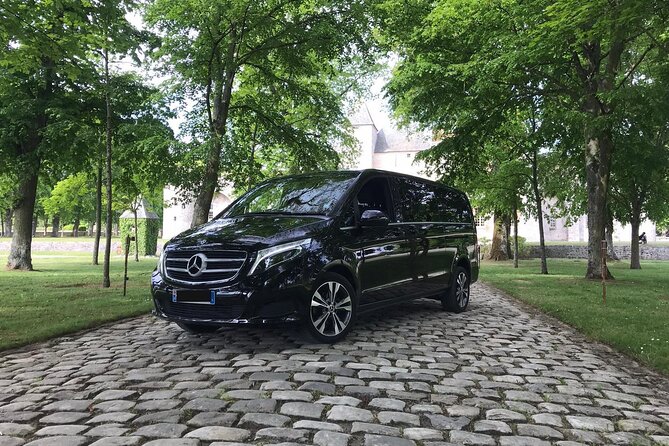 One-Way Private Transfer From Rome Fiumicino Airport (Fco) to Rome Hotel - Operated by Tour Passion