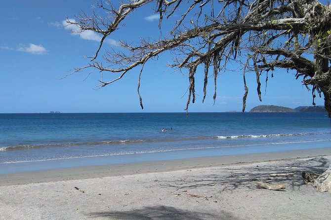 One Way Transfer From Ocotal Beach to SJO Airport or San José up to 5 Passengers - Vehicle Amenities