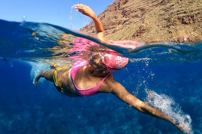 Open-Water Swimming in Madeira - Meeting Point and Pickup
