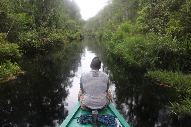 Orangutan Tanjung Puting Wildlife Trail & Arut River 5 Days - Meeting and Drop-off
