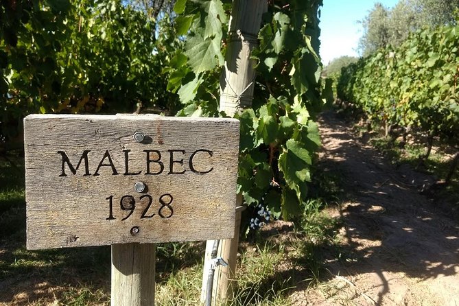 Organic & Bio – Sustainable Wineries