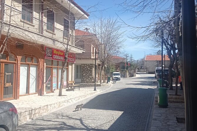 Ormana Altin Besik Tour From Side