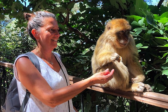 Ouzoud Waterfalls Day Trip Excursion From Marrakech - Pickup and Departure Details