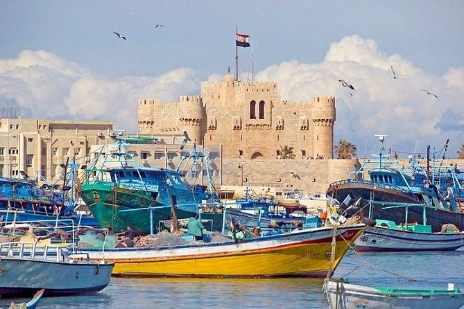 Overday Alexandria - Accessibility