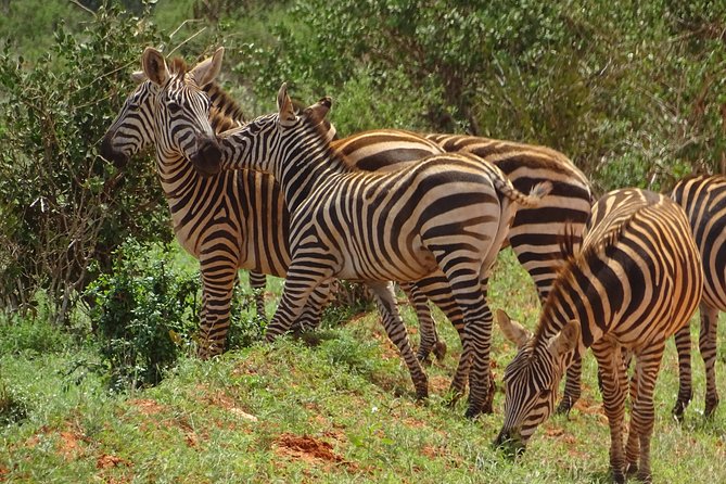 Overnight Safari to Tsavo East, Meet the Red Elephant of Tsavo East - Accommodation Details