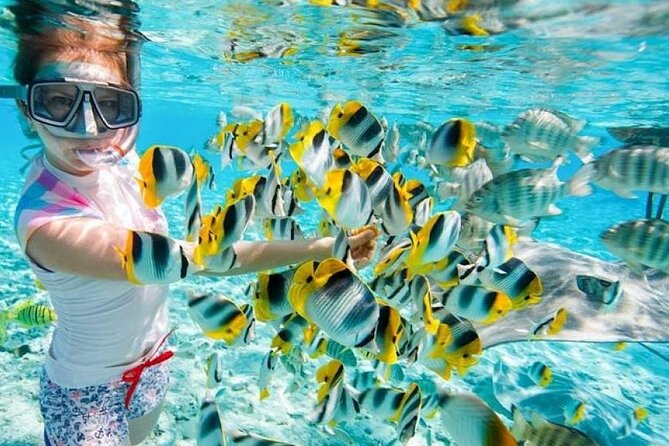Overnight Snorkeling Trip at Satayh Dolphin Reef From Marsa Alam