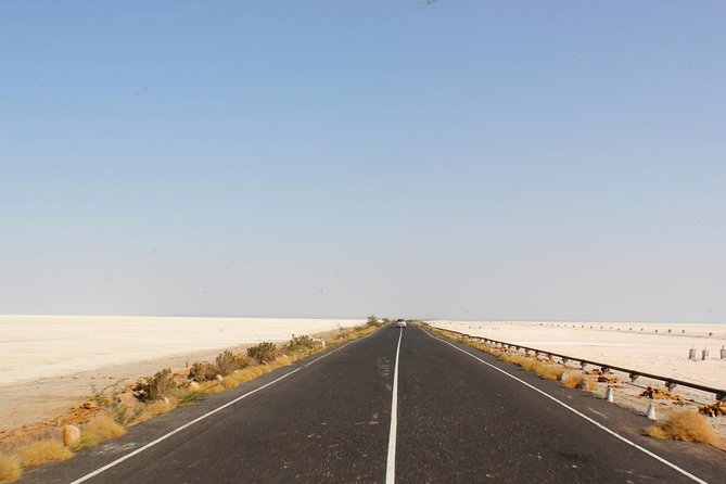 Overnight Trip To Little Rann Of Kutch From Ahmedabad