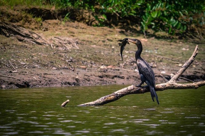 Pacaya Samiria National Park From Tarapoto 5 Days and 4 Nights - Itinerary for 5 Days