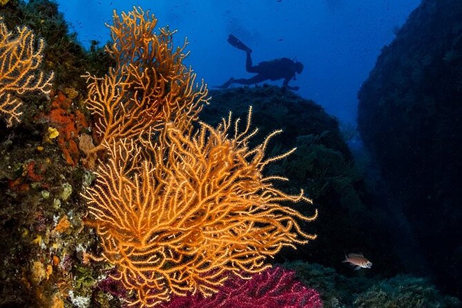 Package of 8 Single Dives in the Capo Carbonara Marine Protected Area