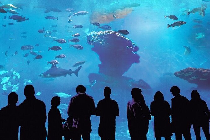 Palma Acquarium With Transfer - Start Time