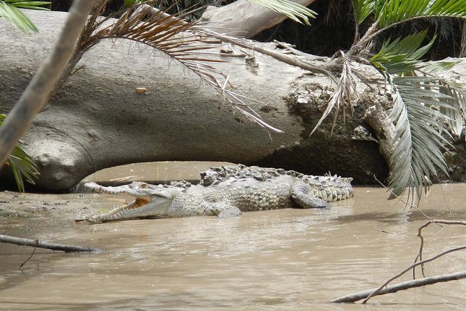 Palo Verde Boat Tour - Tour Location and Highlights