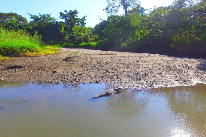 Palo Verde RiverRide From Guanacaste