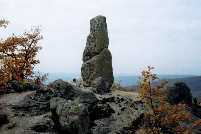 Panagyurishte and Koprivstitsa: One Day From Sofia - Inclusions