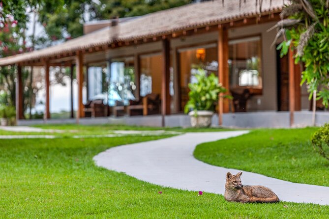 Pantanal Norte Classic Package 2 - 3 or 4 Nights - Inclusions of the Package